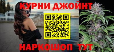 гашик Тулун