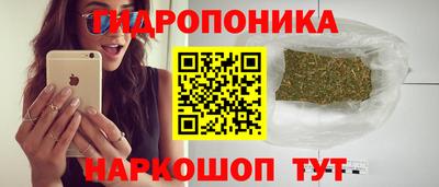 гашик Тулун