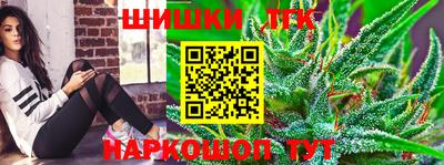 гашик Тулун