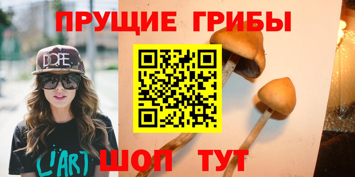 Псилоцибиновые грибы Psilocybine cubensis  Вход с VPN  Псилоцибиновые грибы ЛСД  Хабаровск 